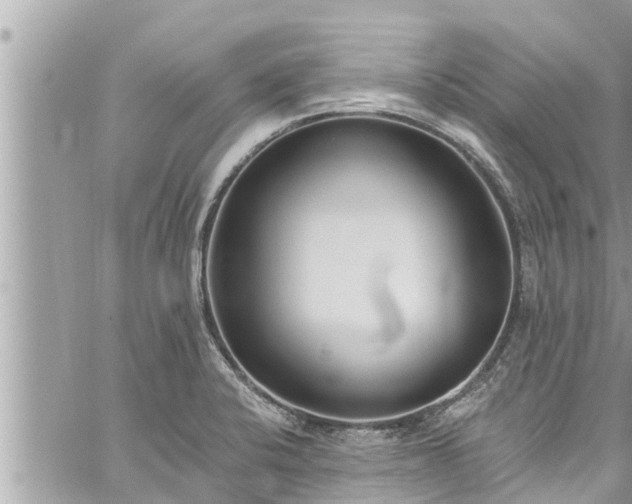 X0000060271424200511010927