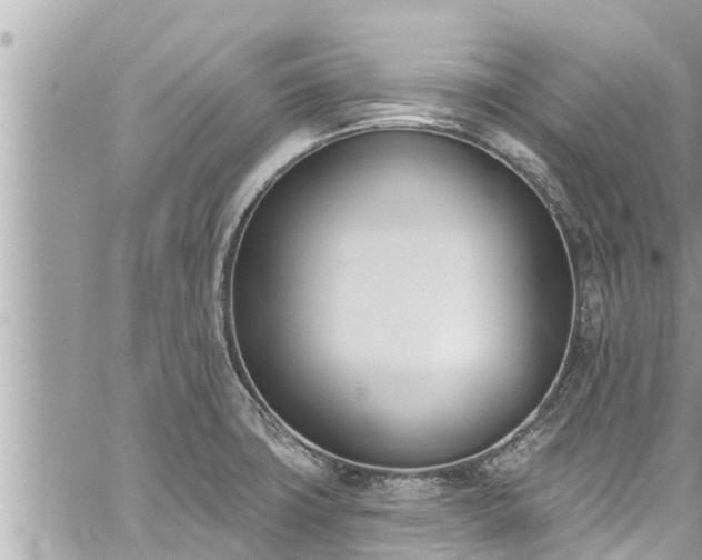 X0000060271427200511010927