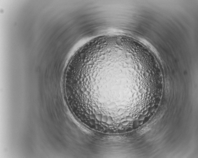 X0000060271429200511010927