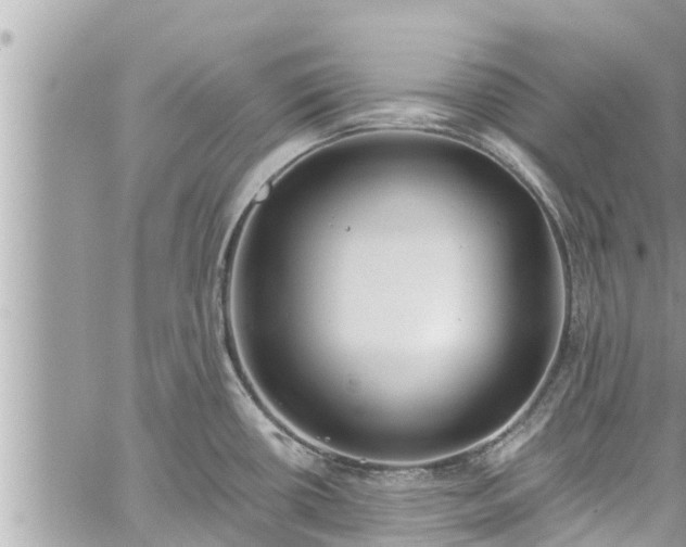 X0000060271434200511010927