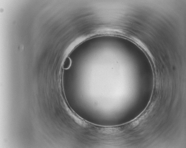 X0000060271437200511010927