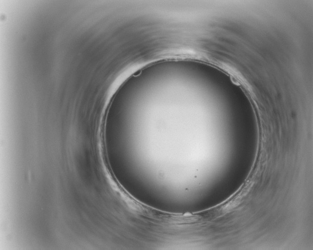 X0000060271440200511010927