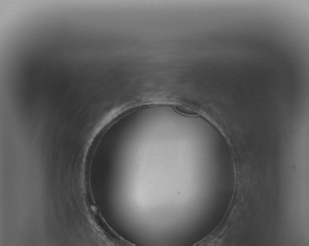 X0000060270008200511041427