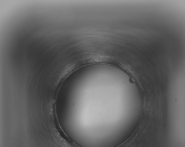 X0000060270010200511041427