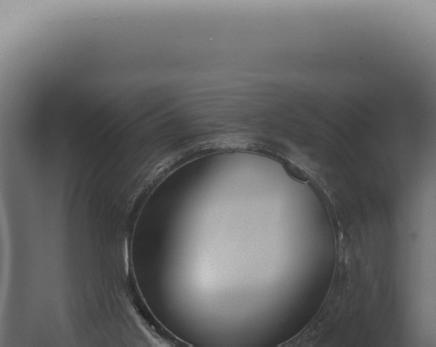 X0000060270013200511041427