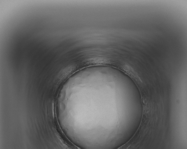 X0000060270014200511041427