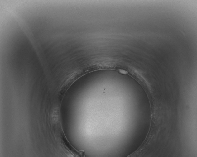 X0000060270017200511041427