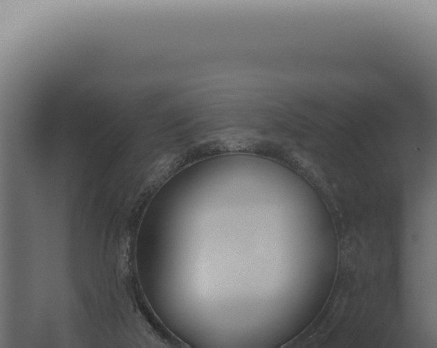 X0000060270018200511041427