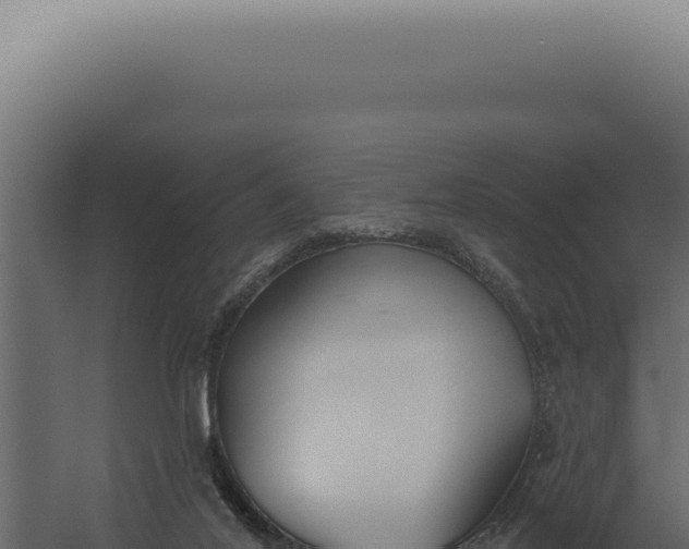 X0000060270020200511041427