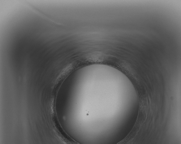 X0000060270023200511041427