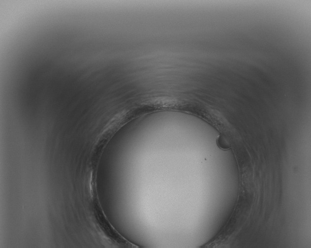 X0000060270024200511041427