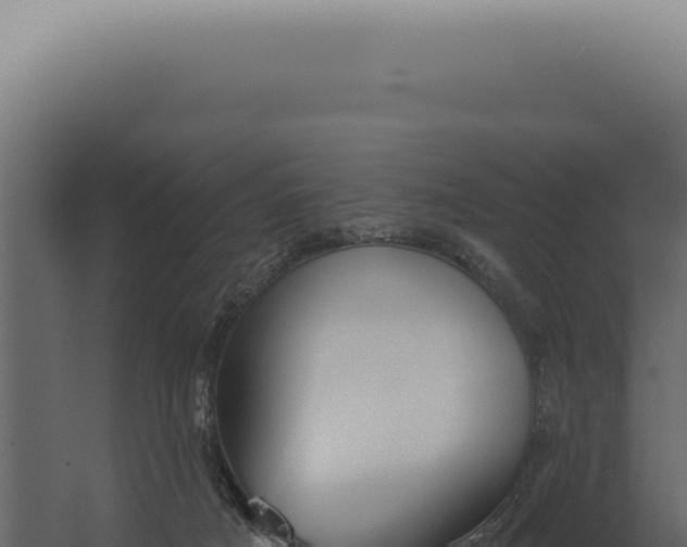 X0000060270025200511041427