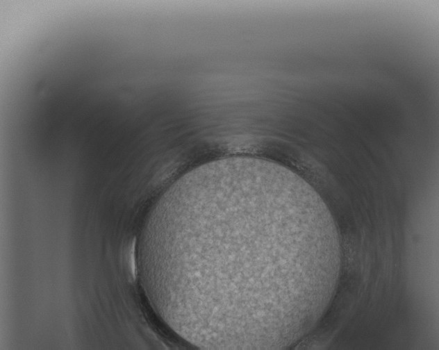 X0000060270028200511041427