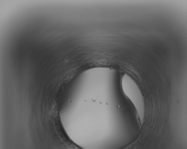 X0000060270029200511041427