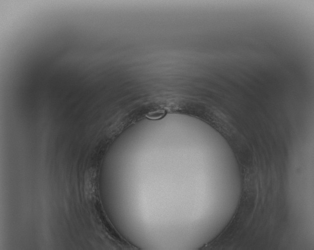 X0000060270030200511041427