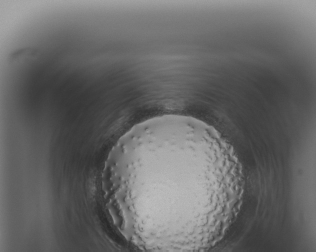 X0000060270032200511041427