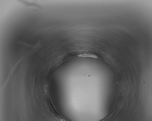 X0000060270033200511041427