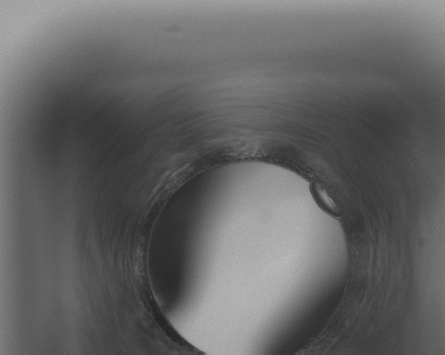 X0000060270035200511041427