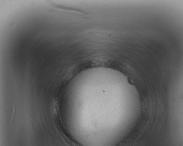 X0000060270038200511041427