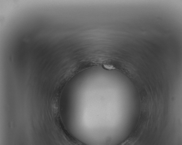 X0000060270040200511041427