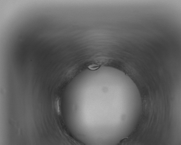 X0000060270042200511041427