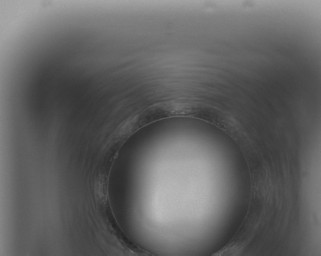 X0000060270044200511041427