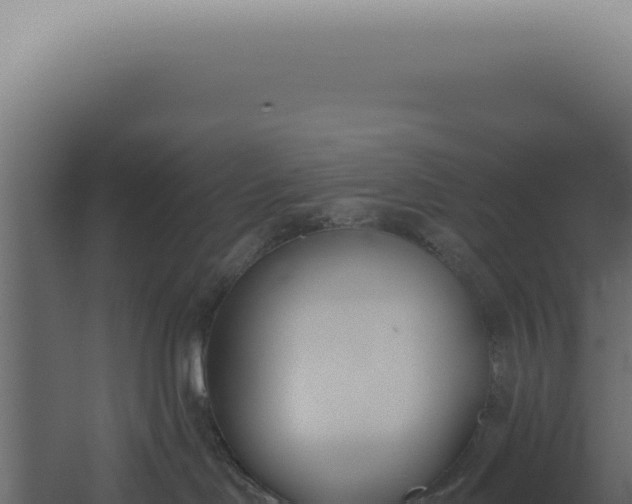 X0000060270046200511041427