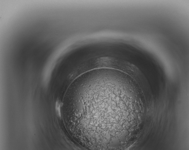 X0000060270047200511041427