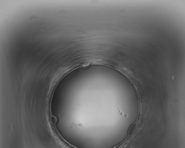 X0000060270049200511041426