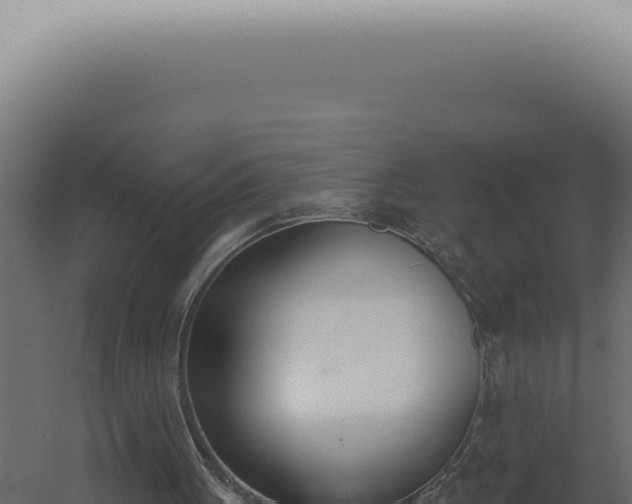 X0000060270051200511041426