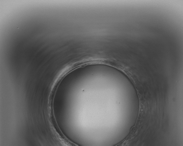 X0000060270053200511041426