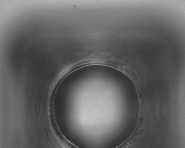 X0000060270055200511041426