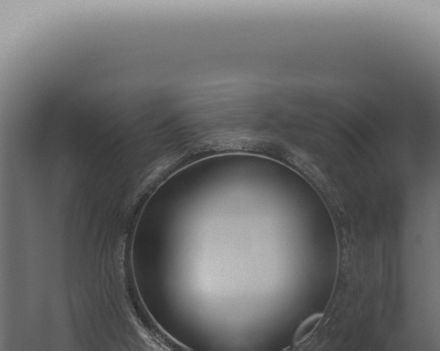 X0000060270058200511041426