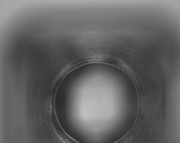 X0000060270059200511041426