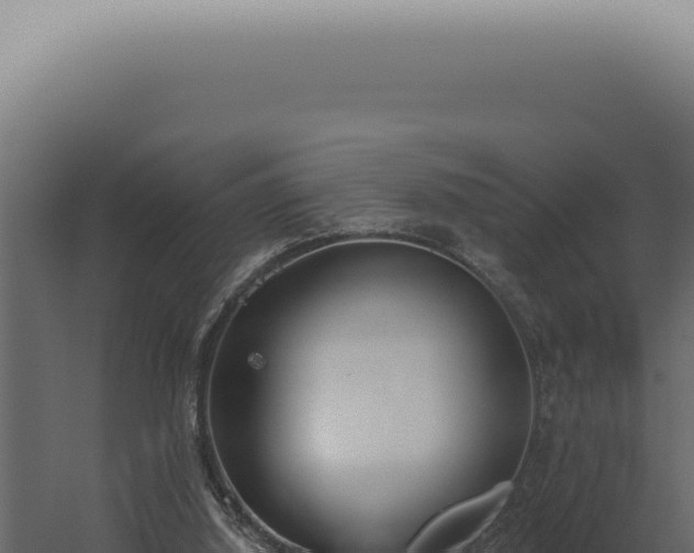 X0000060270060200511041426