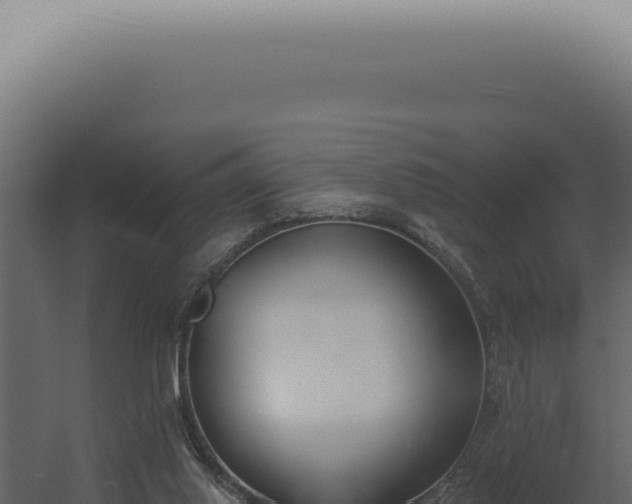 X0000060270062200511041426