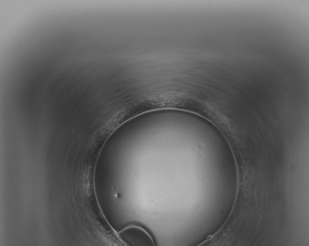 X0000060270065200511041426