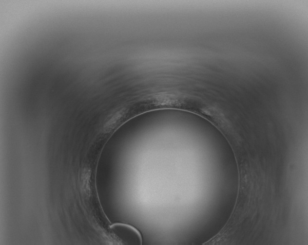 X0000060270066200511041426