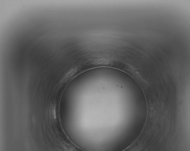 X0000060270068200511041426