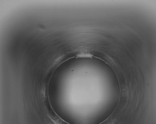 X0000060270072200511041426