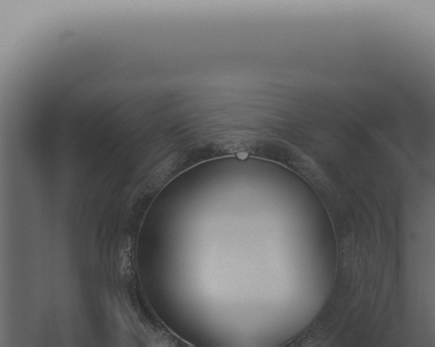 X0000060270073200511041426