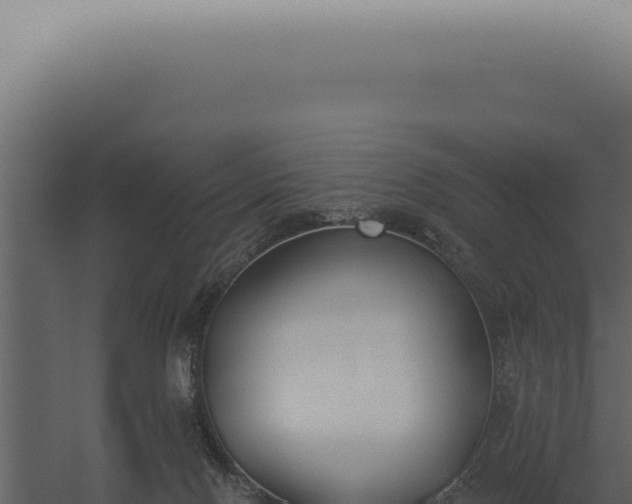 X0000060270074200511041426