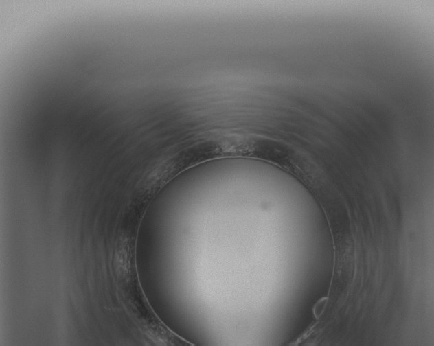 X0000060270078200511041426