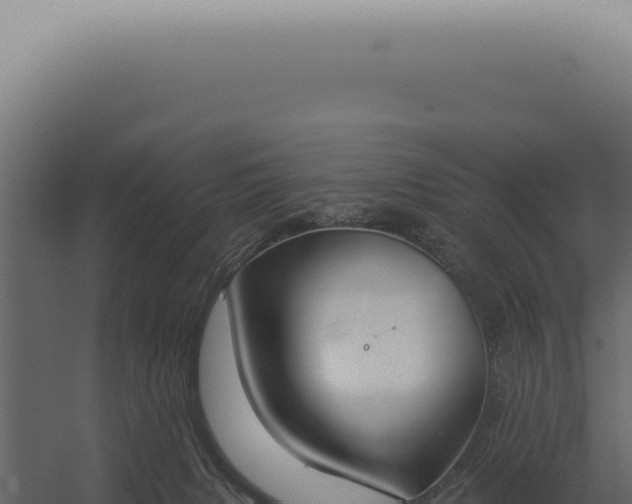 X0000060270079200511041426