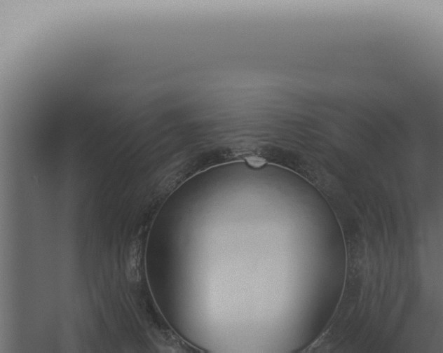 X0000060270082200511041427