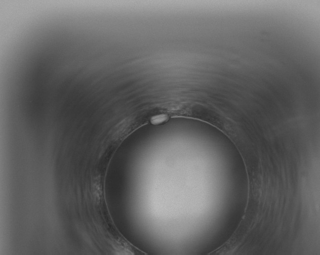 X0000060270085200511041427