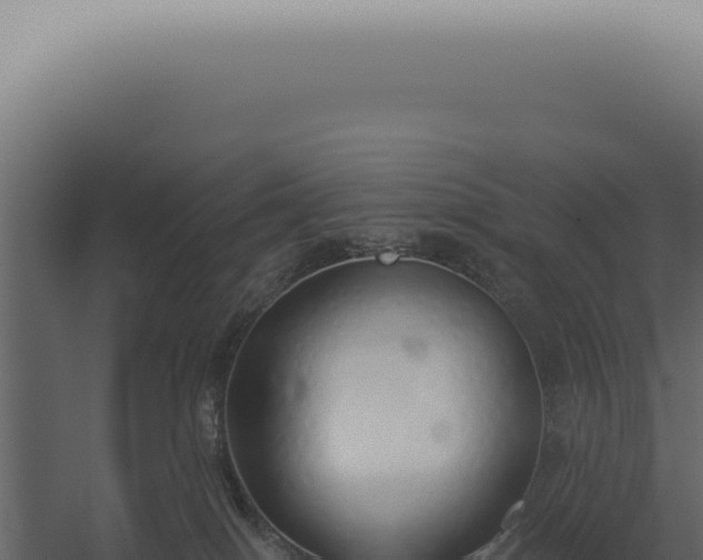 X0000060270086200511041427