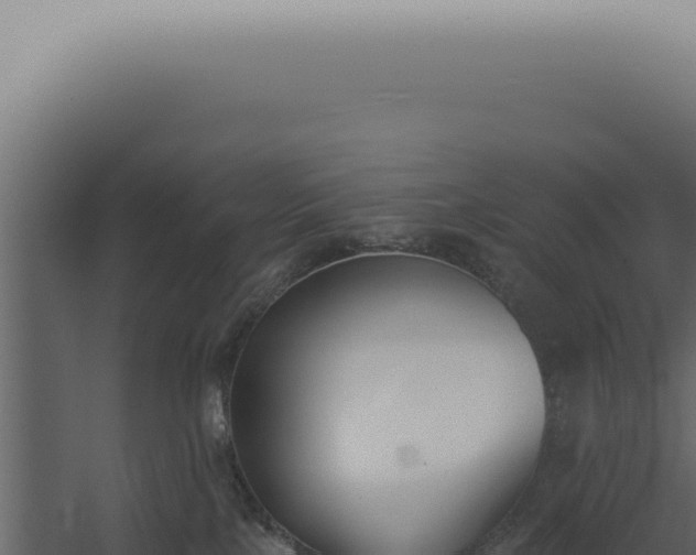 X0000060270089200511041427