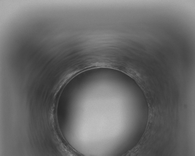 X0000060270098200511041426