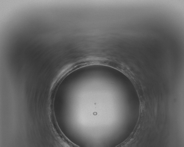 X0000060270101200511041426